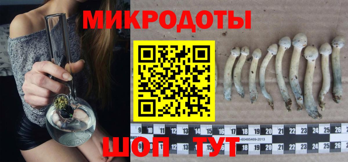 Каспийск  Псилоцибиновые грибы MAGIC MUSHROOMS  Вход с VPN  Галлюциногенные грибы мухоморы 